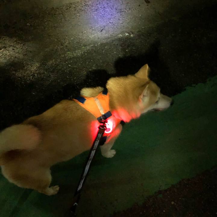 Cf3b3ceb 677d 42de a68f 2bc3c255b41c 1597102570944