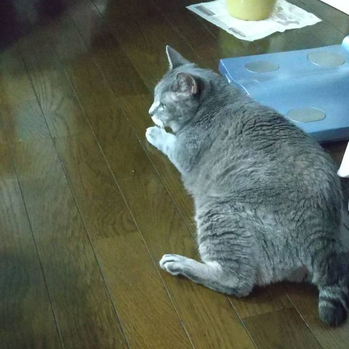 Cf3b67c1 9d64 4dc9 b4a2 c8e8524e04de 1662984677289