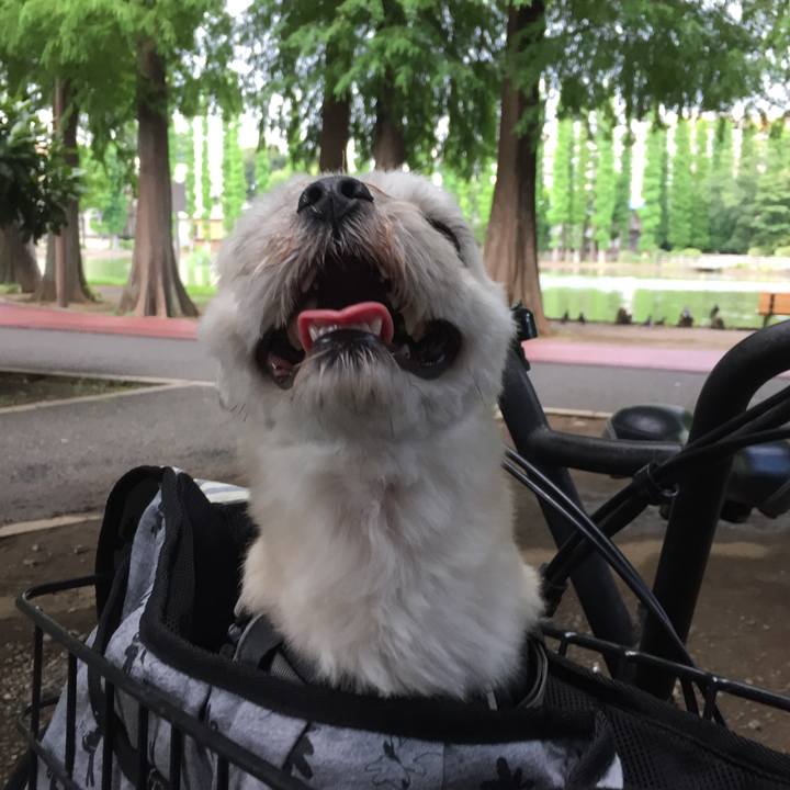 Cf3b7131 1b2c 4c45 817d d5437c4c6099 1565775641178