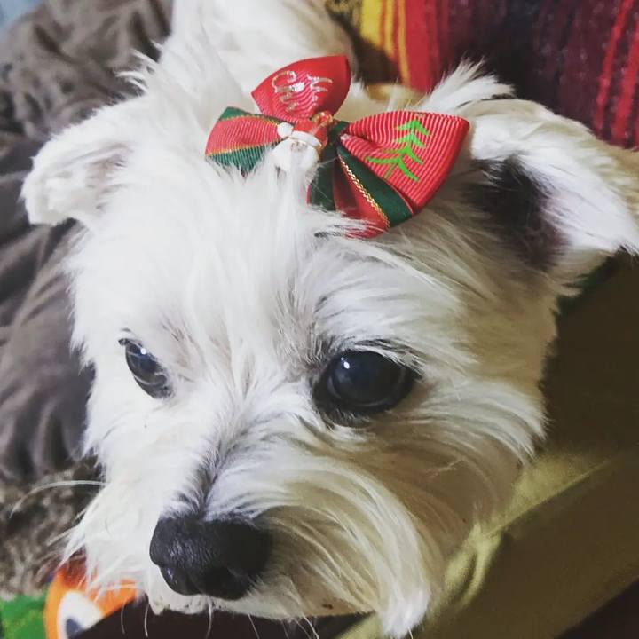 Cf3b8f2f 6d53 46d5 9a41 08a20113336d 1668688516224