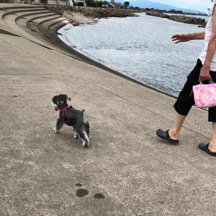 Cf3b9616 027b 4142 9d69 ed486ed21eb9 1535165092987