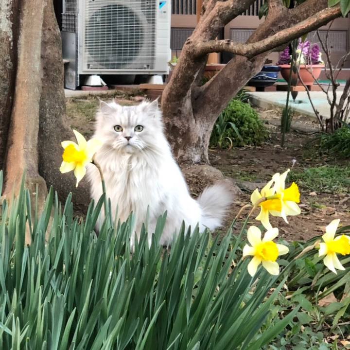 Cf3b9c49 460e 442c b4bb 4ef9994ccb65 1553426868993