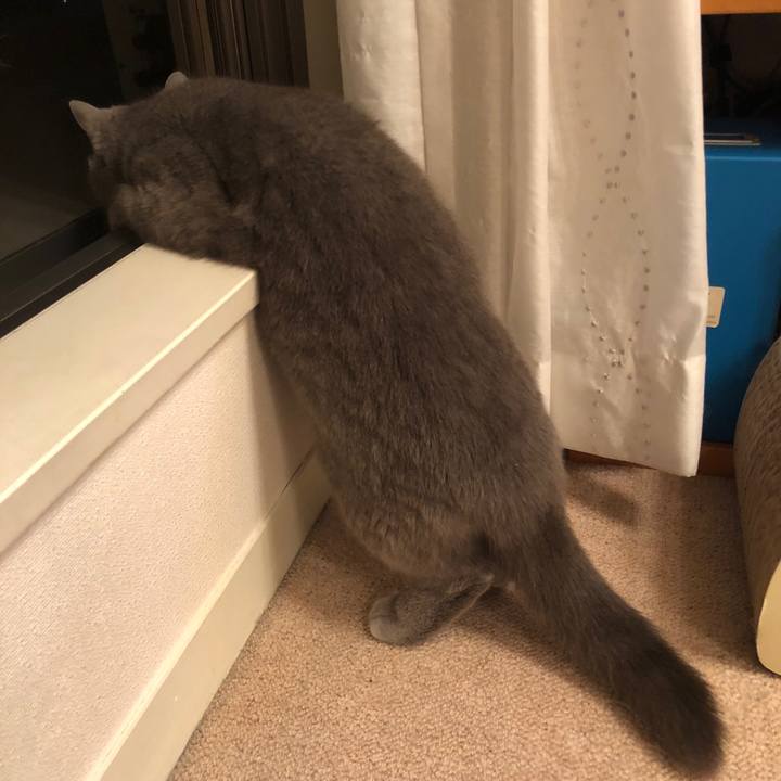 Cf3bd4de 79df 41f5 b6e1 4dfa065d4947 1527853463275