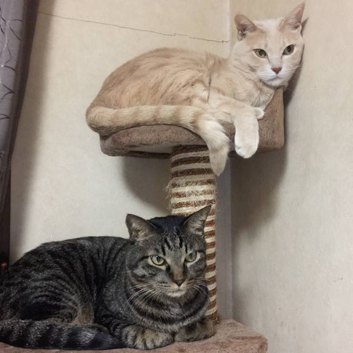 Cf3bd65c 2d02 48c5 8dcd 8ddd346ea250 1591555274316