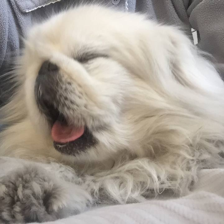 Cf3bd83c 7aa3 4fec 8ba6 ae008203dcbf 1515887762731