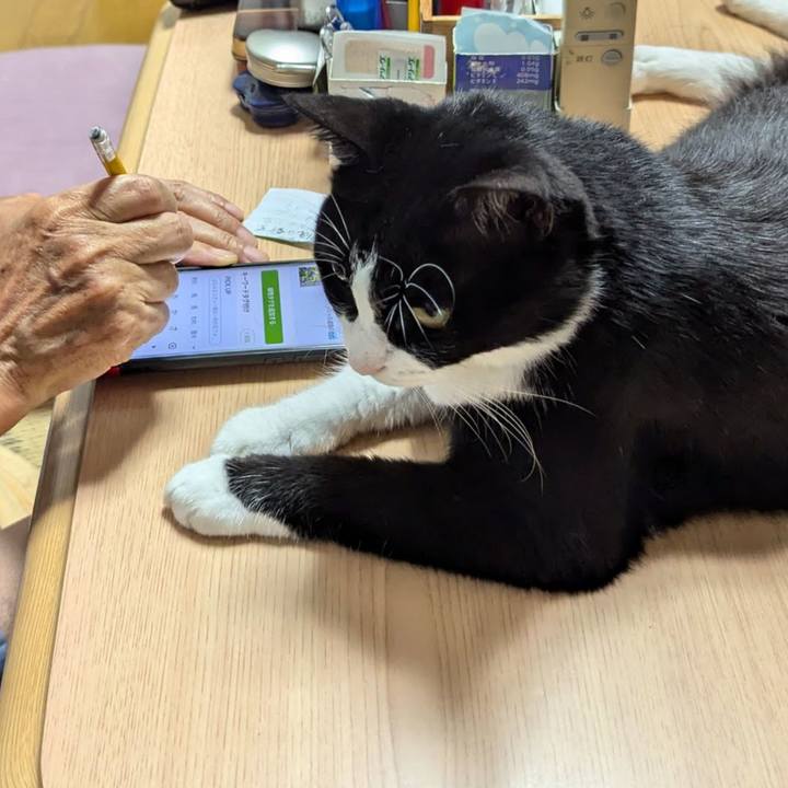 Cf3bdb19 52a6 4eb8 85b5 782ddbef66de 1727405064080