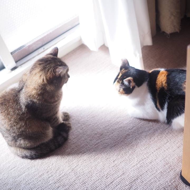 Cf3c3289 1b45 45a8 8f70 3558e1257057 1517183152685