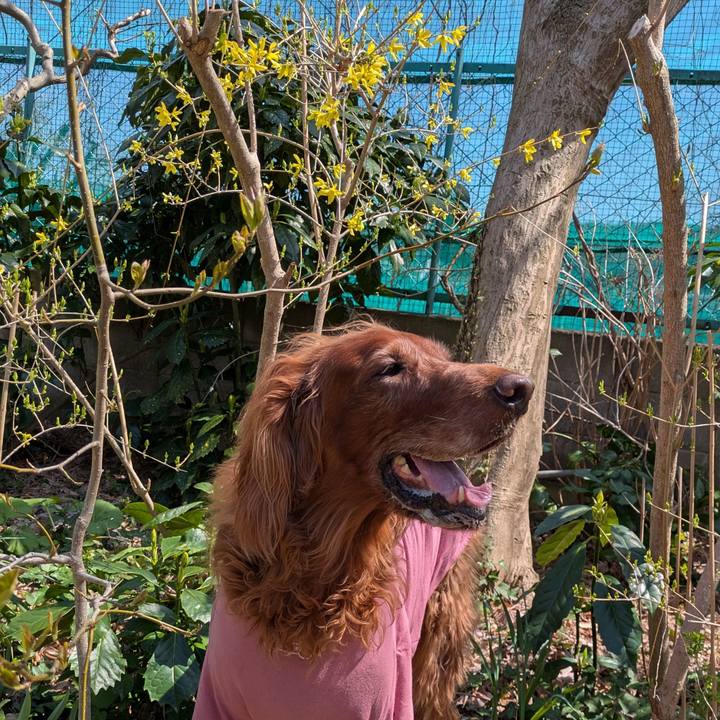 Cf3c5a00 95c7 46fc 9f32 224304bd8a39 1776049023913