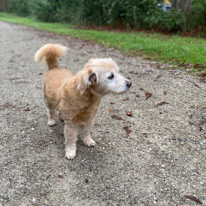 Cf3c7ebe 2c01 4a61 b43f ed1504e6ea6a 1757566812696