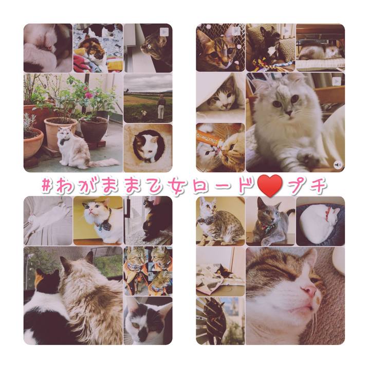 Cf3cae85 3c3d 48cf a643 86f0006d55ec 1570967893652