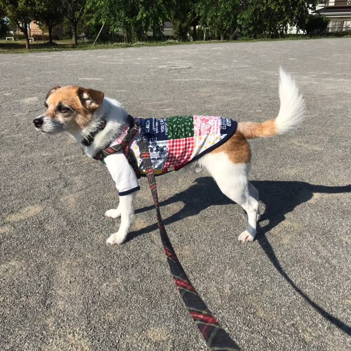 Cf3cefb6 016c 44be 8861 e1011afe2408 1558738421717