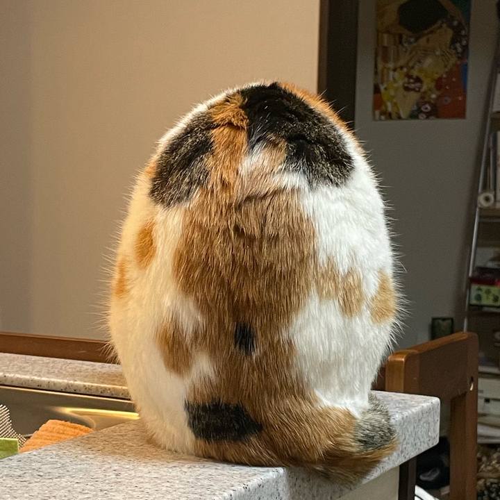 Cf3d0cc8 b25a 464c 94bc 728942cc6d3e 1702045374136