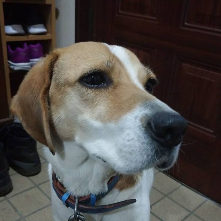 Cf3d5995 ae23 405b 9b81 a0932ef35738 1615019930749