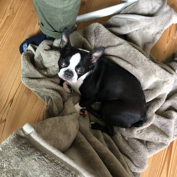 Cf3d59b7 335d 497f b428 93f9ed446fc2 1527739288269