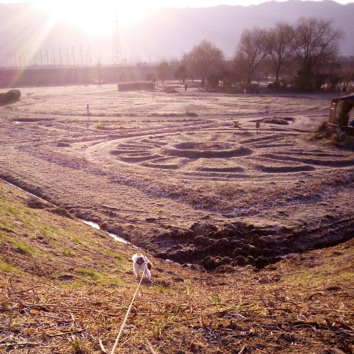 Cf3d667c acb8 4773 93ea ea5b6ea37299 1517358198589