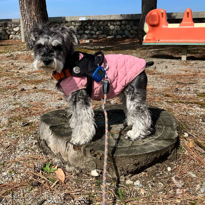 Cf3d75d0 2467 4d0b 9916 77ea798ddc92 1773985397078