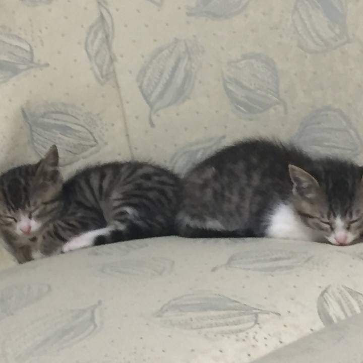 Cf3dbb35 213d 4187 97cb 3ef406e03f83 1654013056847