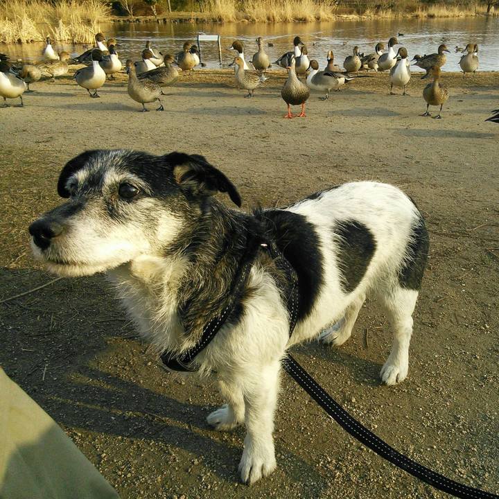 Cf3dd334 7d7f 4cb9 aa82 fd060efd18aa 1522322628436