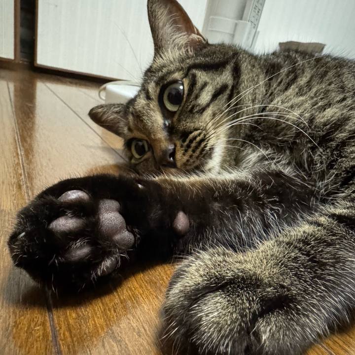 Cf3ddb5c 58c8 4429 86ab 746b9c783a01 1755868617507