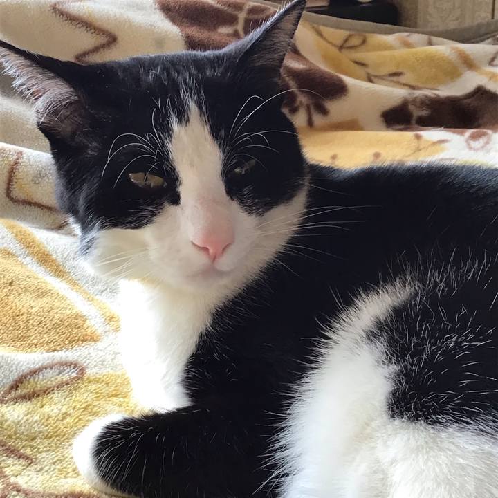 Cf3dfca2 6aac 4acf 913b fc4cbf7e0041 1650076882967