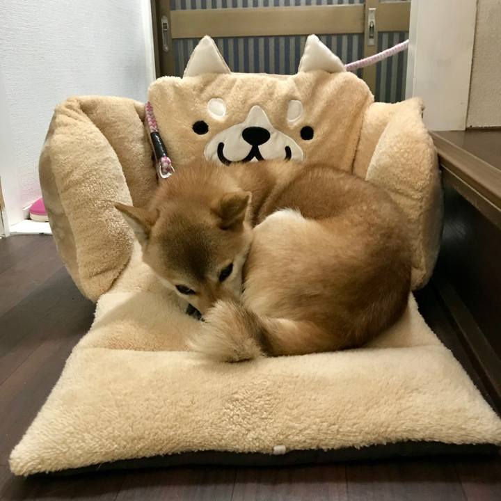 Cf3e0858 7969 4847 b26f 2e433812d87d 1545734241906