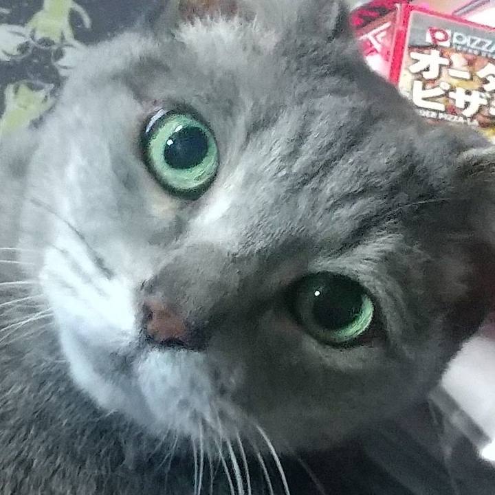 Cf3e0bb3 9368 49a9 8b3c 74e87e077659 1672045499230