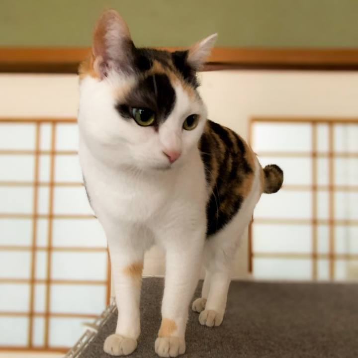 Cf3e1302 ff98 4541 9834 98f8da7ee3d9 1591925500951