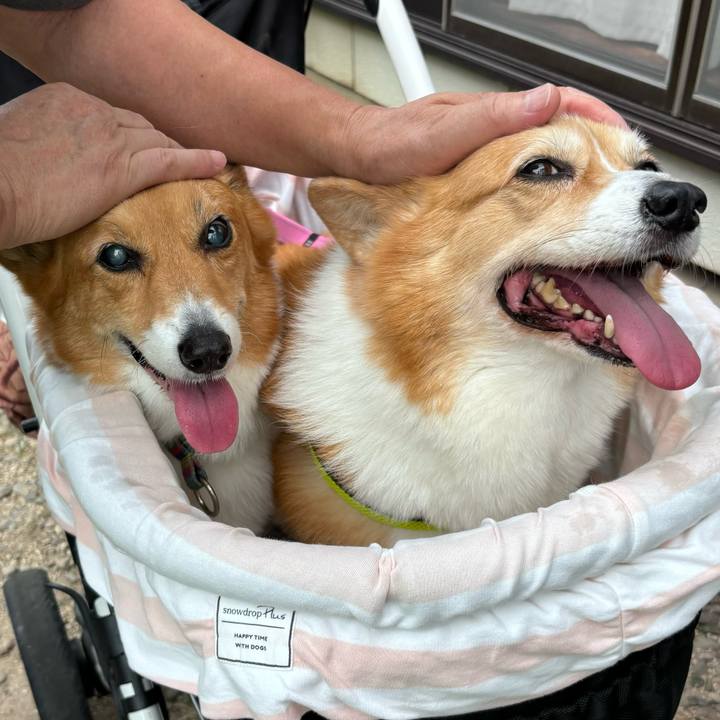 Cf3e330c 9104 416b 91b3 414a6381e88b 1750639922272