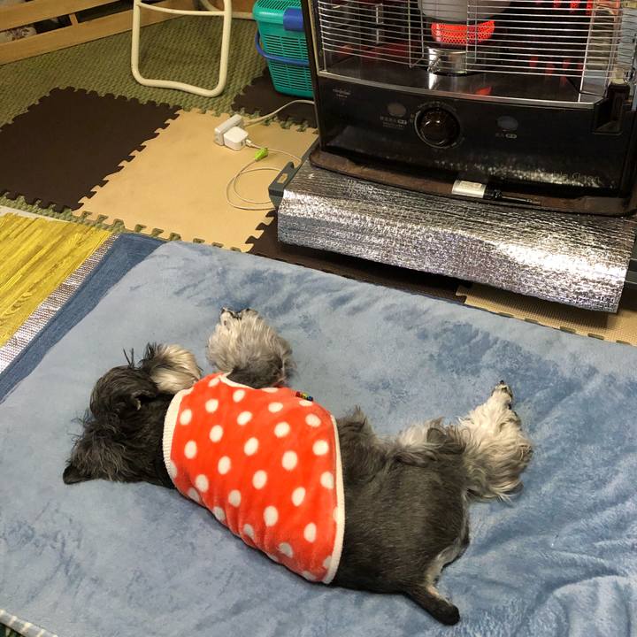 Cf3e4238 92cd 495b 805b cdd34793a893 1679842654173