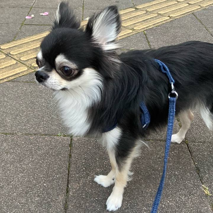 Cf3e5325 d4c4 4f53 8a02 1114a8cffb71 1624024532398