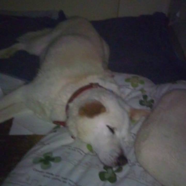 Cf3e72dd bd2e 40f3 9695 7b3d846167b6 1517935013561