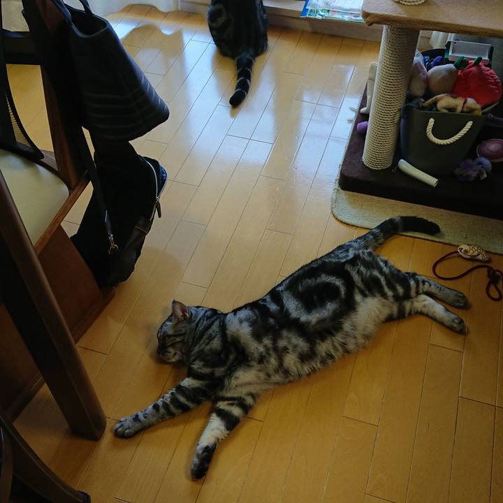 Cf3ea778 a54d 4393 ae58 4fe5691702ae 1591757257948