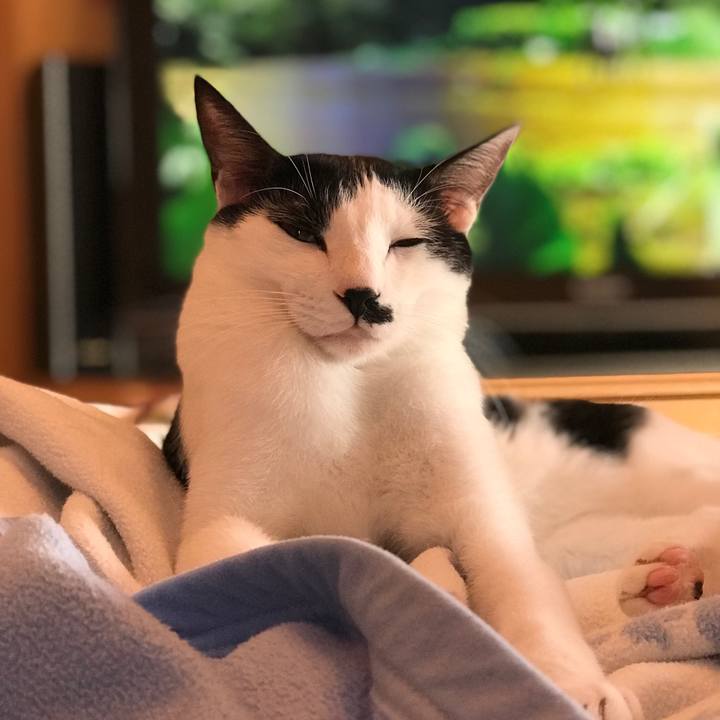 Cf3eab90 20aa 4ffd 984d 05c48dbf017d 1540081527566