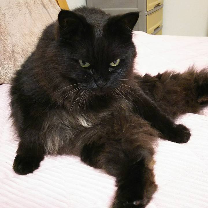 Cf3eb318 3b06 4feb 98e6 15b3ce2be11e 1526821870241