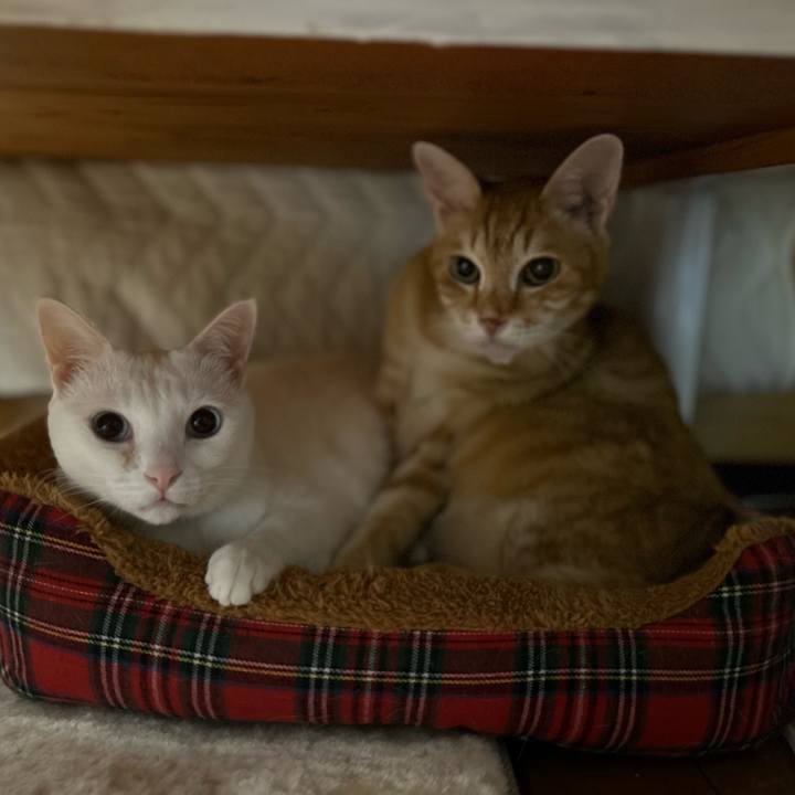 Cf3eb57a 4548 418d 8f7c 99beef896b8c 1672141755544