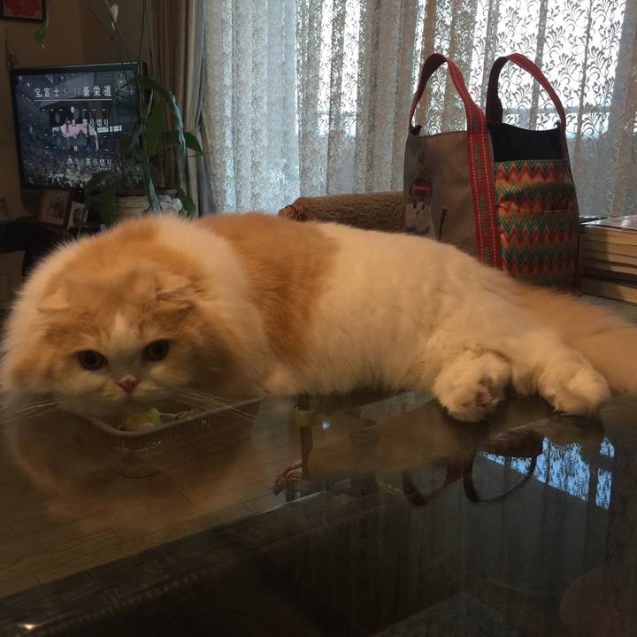 Cf3eb7c0 294d 4530 96f5 5982c03c0840 1521276659553