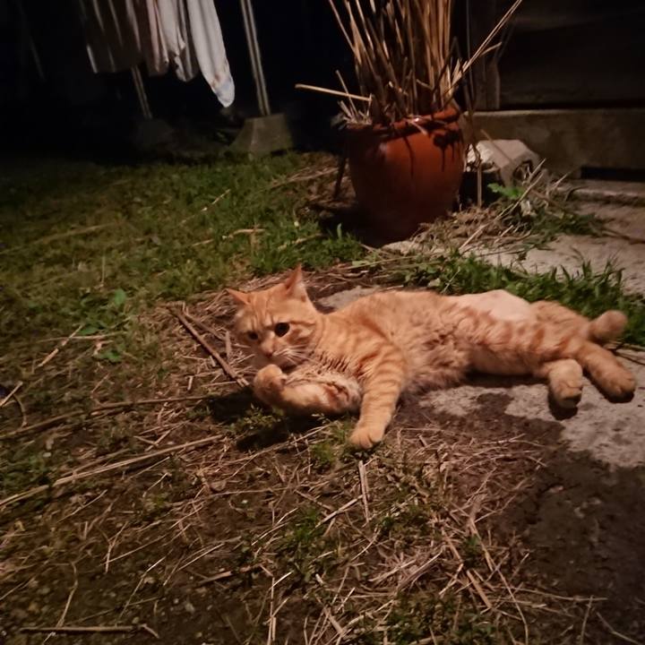 Cf3ec56d 8d00 4aa7 9593 07a5c4b80c7e 1655468151533