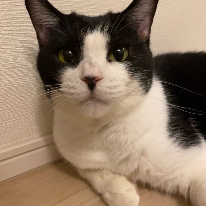 Cf3ee6b8 a658 4382 92bc 312bda60e773 1727530186786