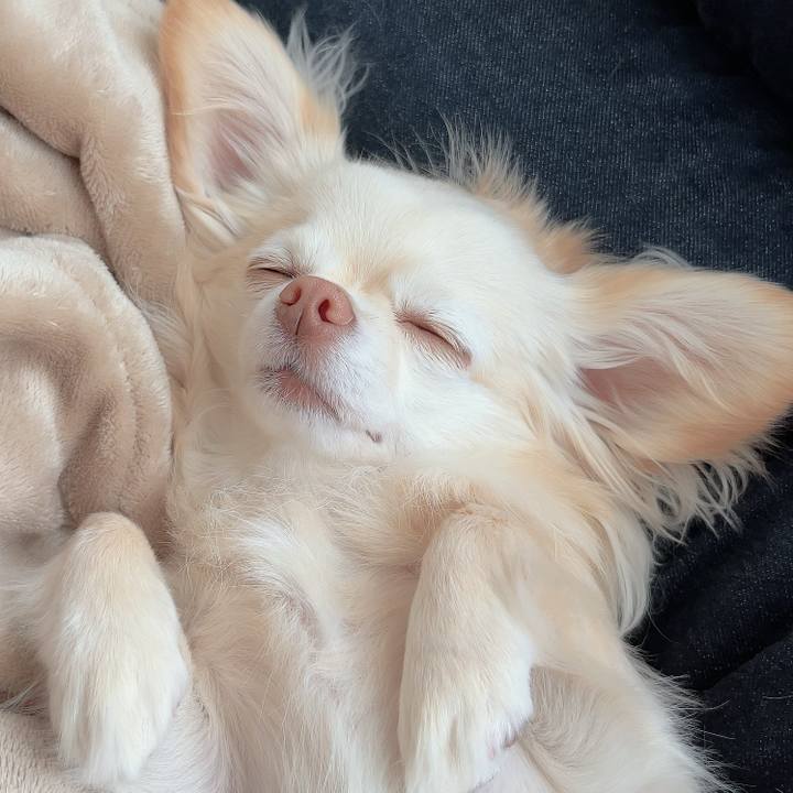 Cf3f0491 cb15 46de 9a85 694eaf1e2b35 1710849042113