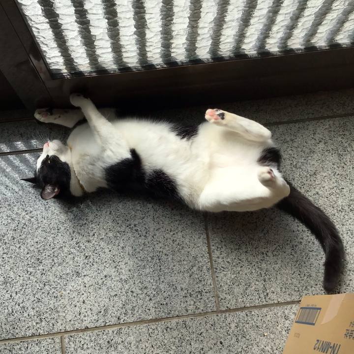 Cf3f0c1b 7181 4c88 b0e1 bd28b2188c4b 1647484650484