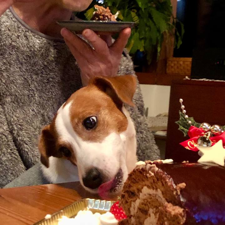 Cf3f0d74 65f8 4db4 bf83 cb48f0c3313b 1672111357350