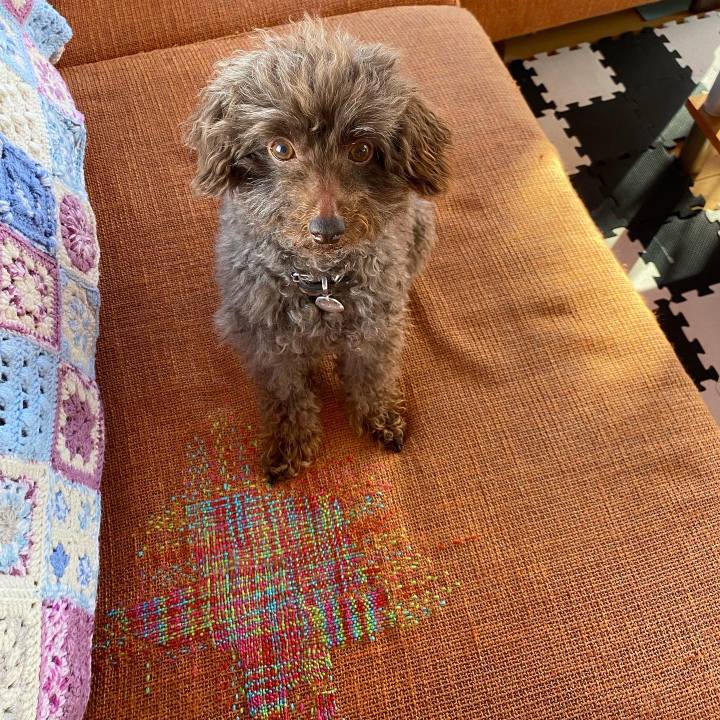 Cf3f3e99 d5d6 46e4 b9fc fd594261fa63 1649520349556