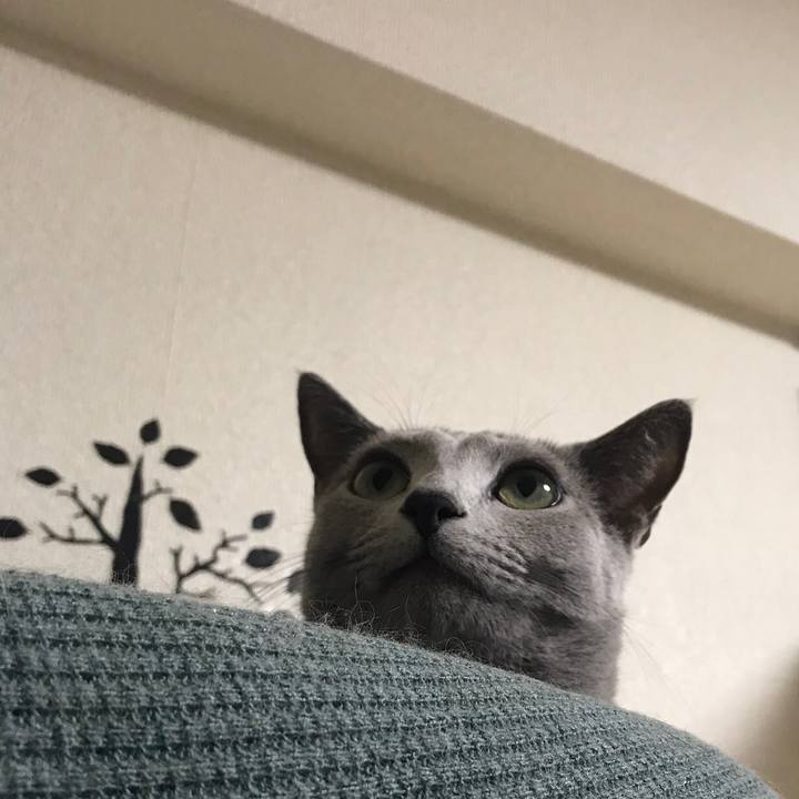 Cf3f4100 0645 4c81 954c 8211fff106ec 1543585229281