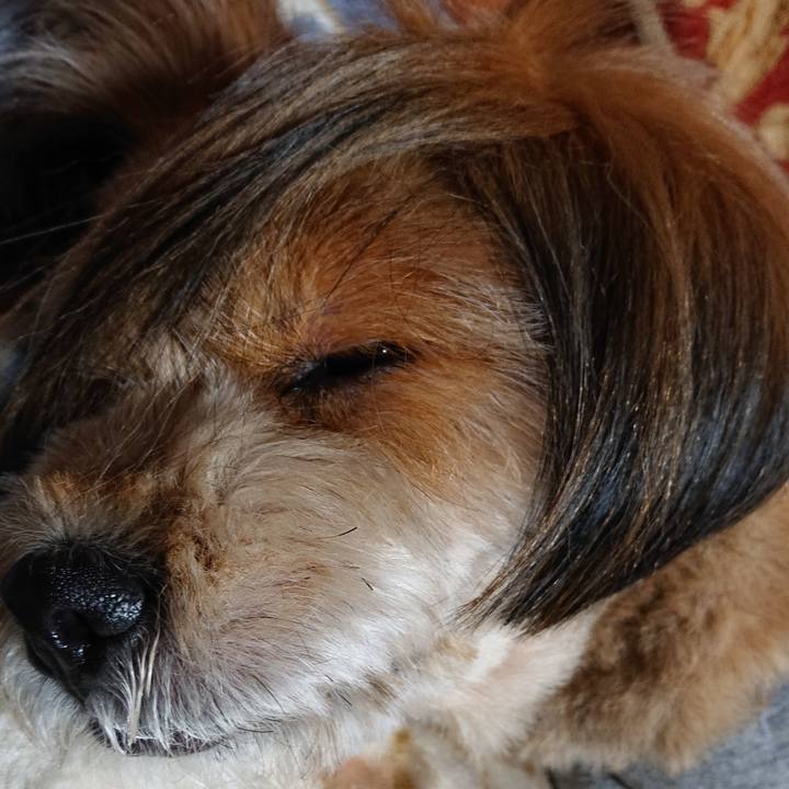 Cf3f4479 3dc8 4b1d 9b5c e2d00c29c29d 1581511784834