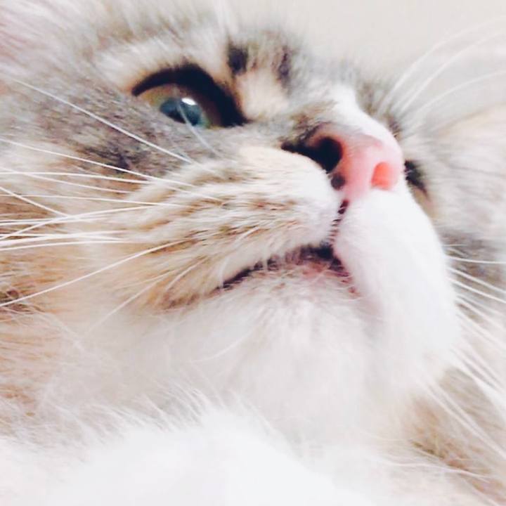 Cf3f9cc9 72fc 46bf b530 7d4b0940b0ac 1627060150680