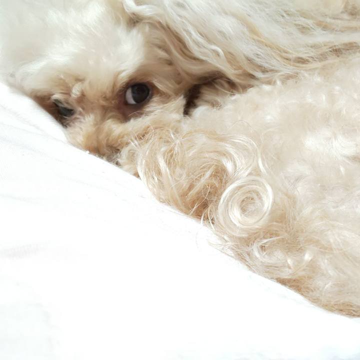 Cf3fb0b3 5271 4c6e a2da 3df98da09ef7 1591224955469