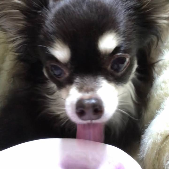 Cf402bc7 7bed 48f4 8332 f9a4226df56c 1579784488622