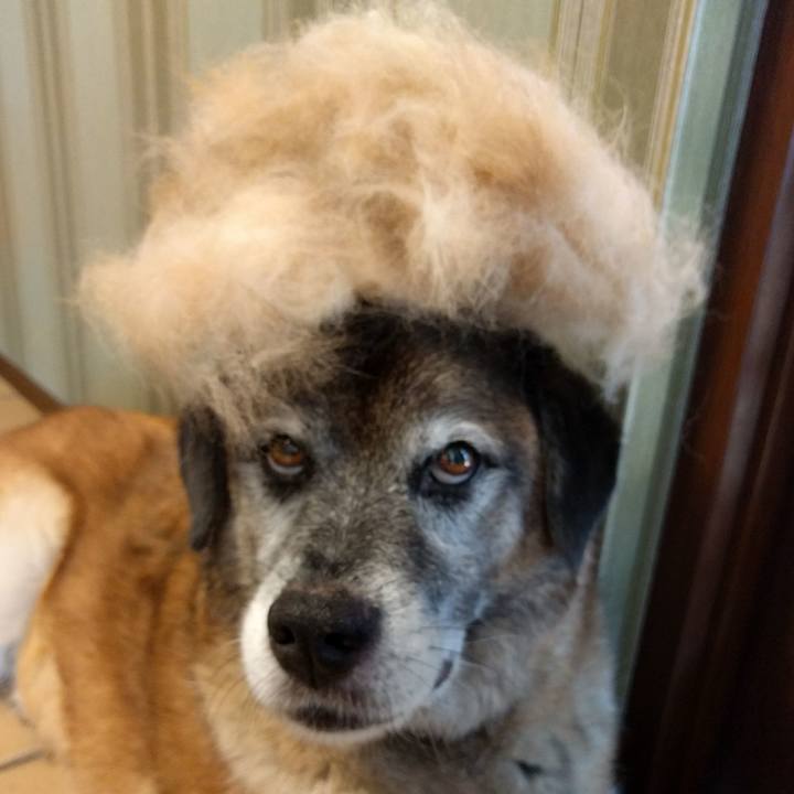 Cf4037dc f567 48ff 8126 ade70682c433 1532051396464