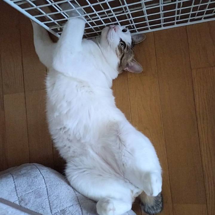 Cf406602 e3a2 441c 94fc e7e7e8252fb3 1736998060247