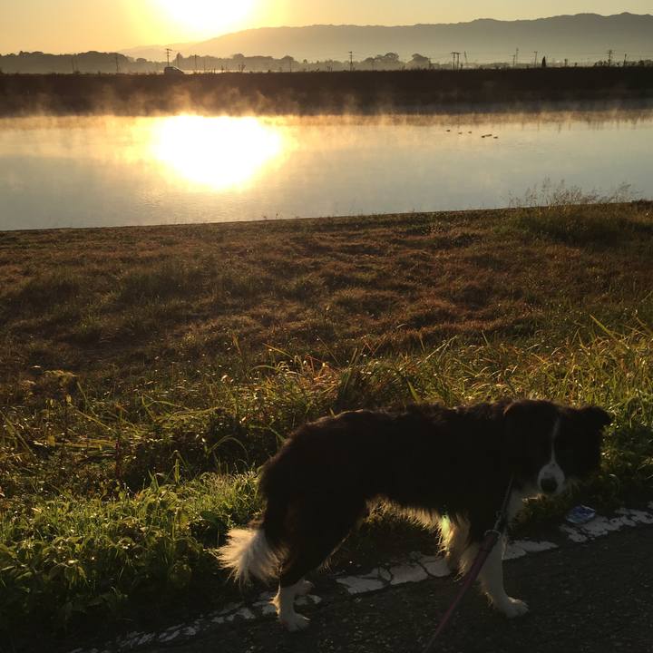 Cf40f7d8 203a 4711 9cb5 21cca3c2a9b5 1575069941487